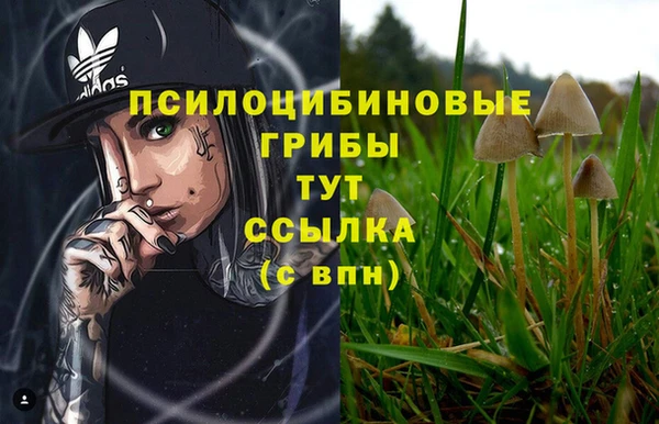 синтетический гашиш Горнозаводск