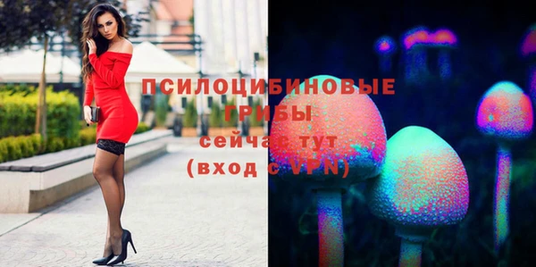 синтетический гашиш Горнозаводск