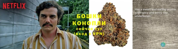 стафф Горно-Алтайск