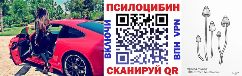 Псилоцибиновые грибы MAGIC MUSHROOMS  Купить закладки  Зуевка 